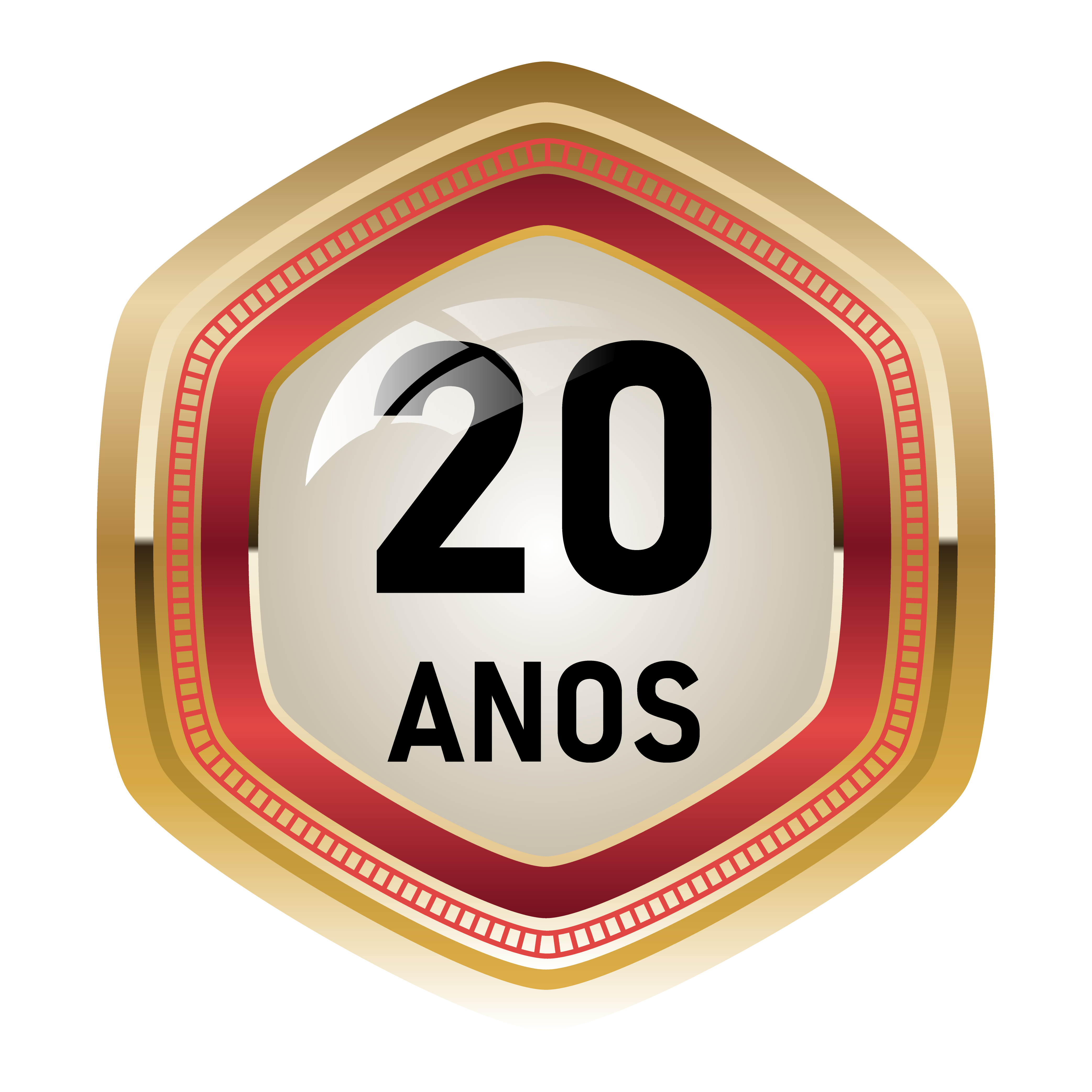 Otimiza — 20 anos